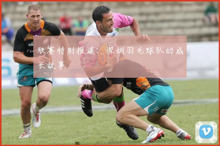 联赛特别报道：深圳羽毛球队的成长故事