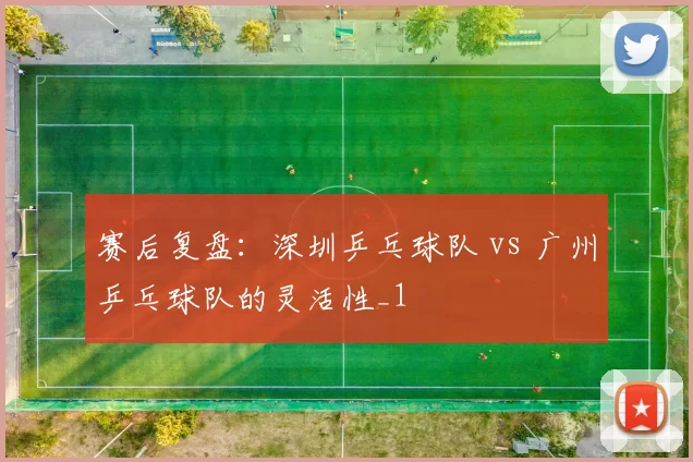 赛后复盘：深圳乒乓球队 vs 广州乒乓球队的灵活性_1