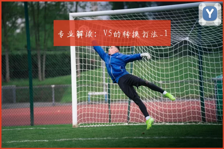专业解读：V5的转换打法_1