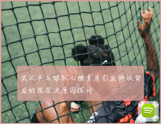 武汉乒乓球队心理素质引发热议背后的深层次原因探讨