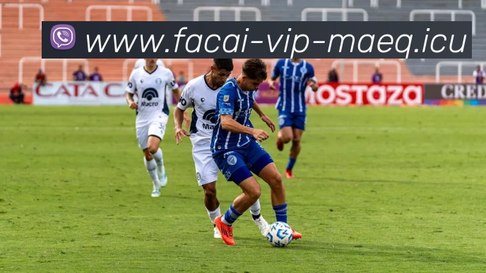 乐竞体育注册平台生态图