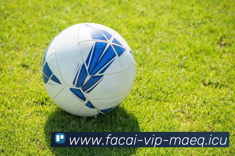 乐竞体育注册APP 封面图